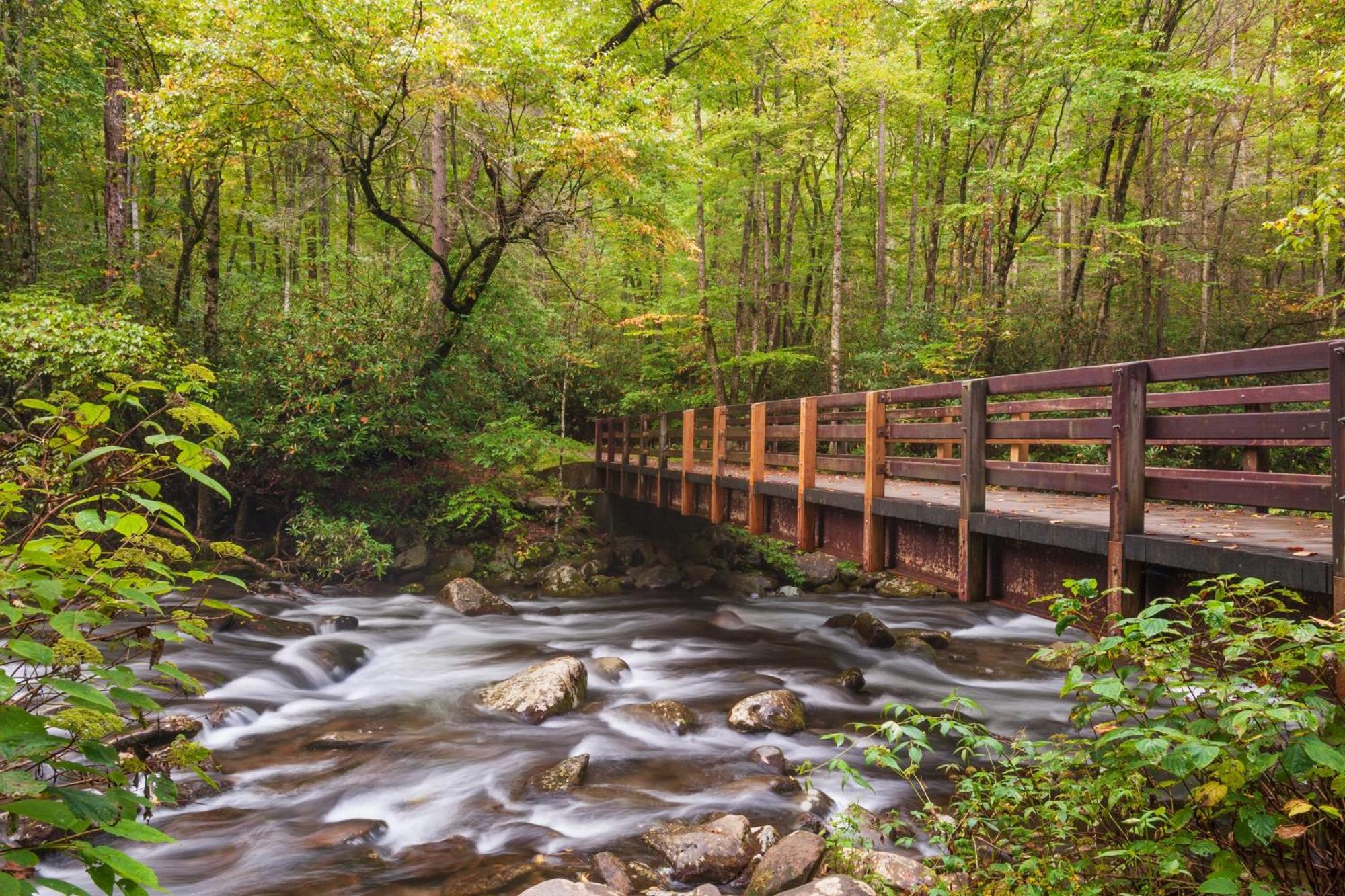 The Mason Jar, Hot Tub, Wifi, 1089 Free Tickets Each Paid Day, Dollywood And More! Пиджен-Фордж Экстерьер фото
